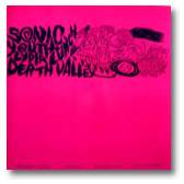 Sonic Youth Death Valley 12
